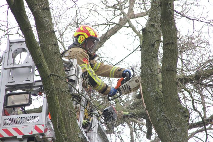 Brandweer verwijdert gevaarlijke hangende takken van bomen