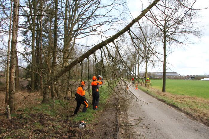 Brandweer duwt gevaarlijke boom omver