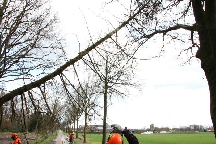Brandweer duwt gevaarlijke boom omver