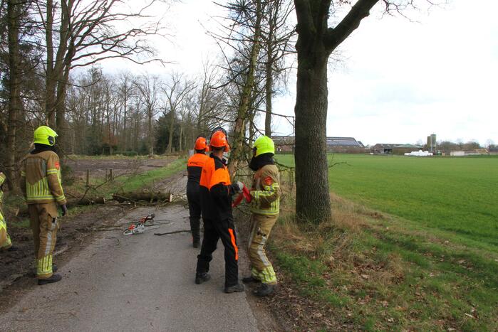 Brandweer duwt gevaarlijke boom omver
