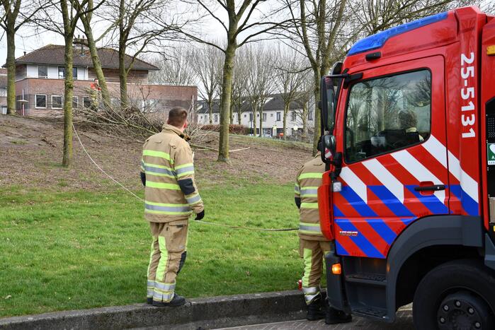 Brandweer ingezet voor twee omgevallen bomen