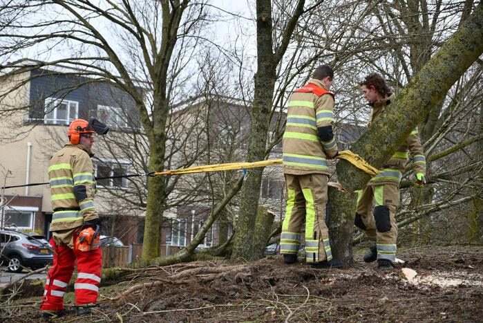 Brandweer ingezet voor twee omgevallen bomen