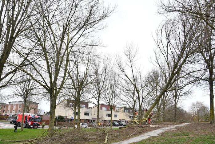 Brandweer ingezet voor twee omgevallen bomen