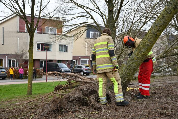 Brandweer ingezet voor twee omgevallen bomen
