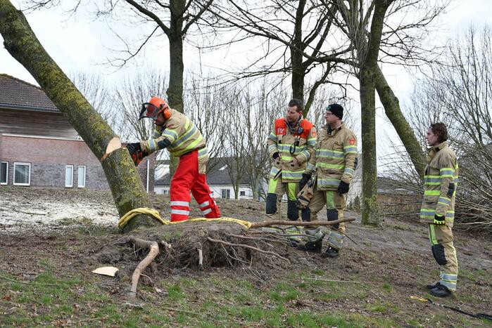 Brandweer ingezet voor twee omgevallen bomen