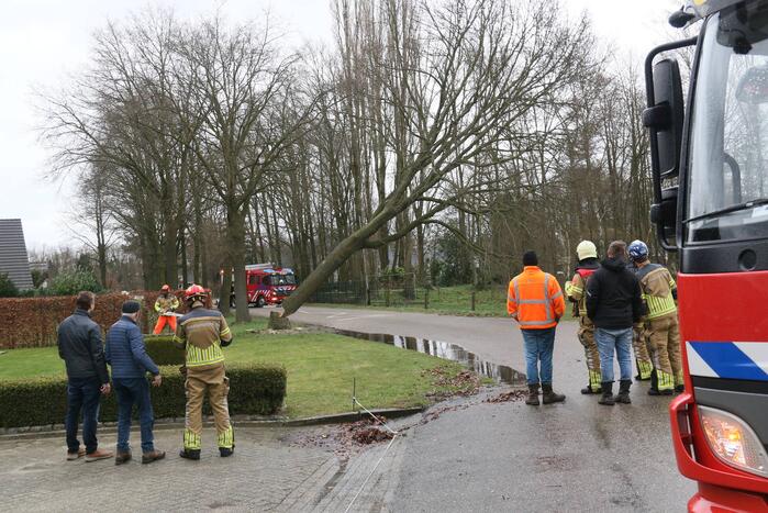 Boom veroorzaakt waterlekkage