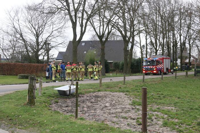 Boom veroorzaakt waterlekkage