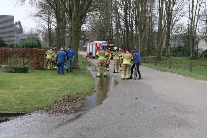 Boom veroorzaakt waterlekkage