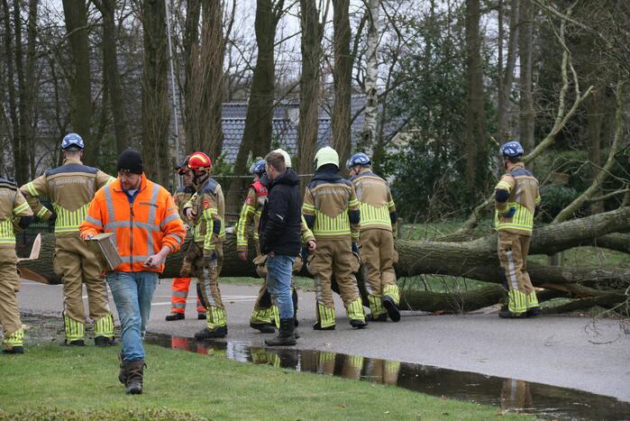 Boom veroorzaakt waterlekkage