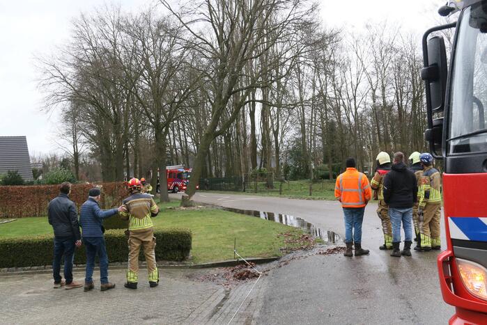 Boom veroorzaakt waterlekkage