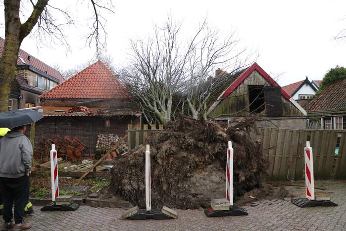 Grote boom valt op woningen en schuur