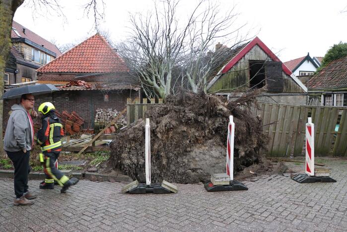 Grote boom valt op woningen en schuur