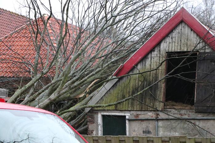 Grote boom valt op woningen en schuur