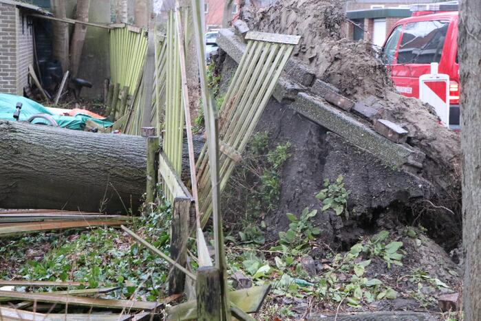 Grote boom valt op woningen en schuur