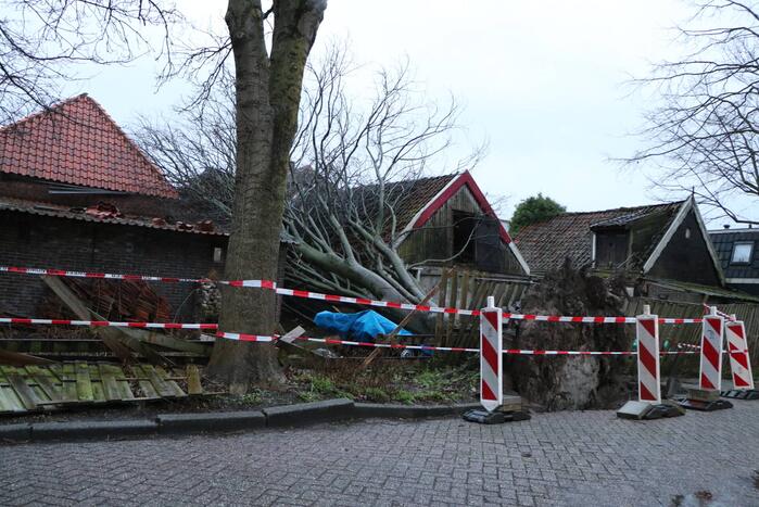 Grote boom valt op woningen en schuur