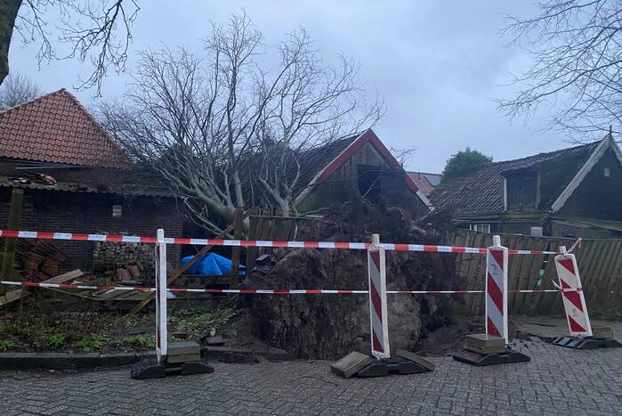 Grote boom valt op woningen en schuur