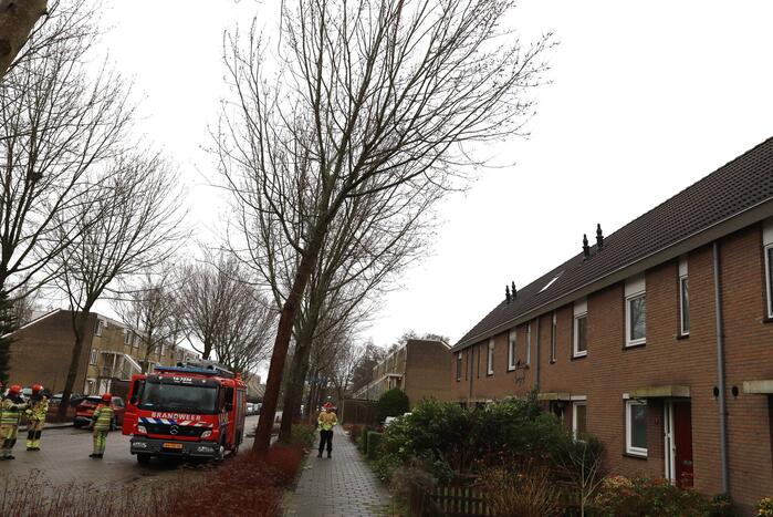Boom dreigt op woning te vallen
