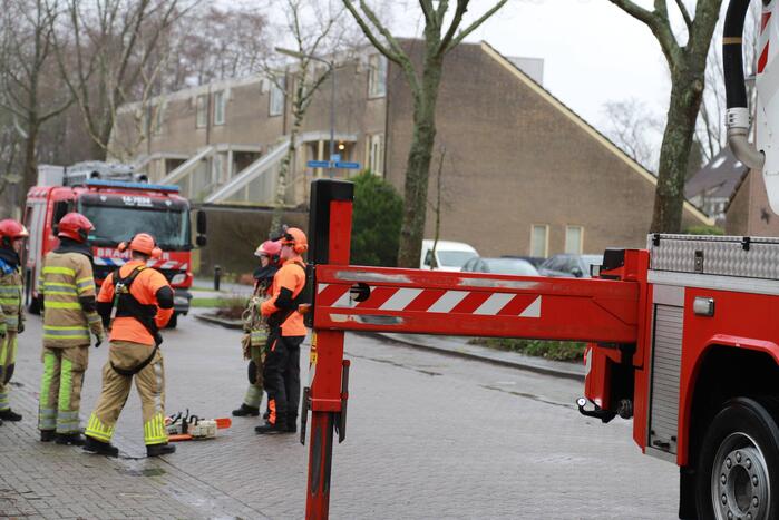 Boom dreigt op woning te vallen