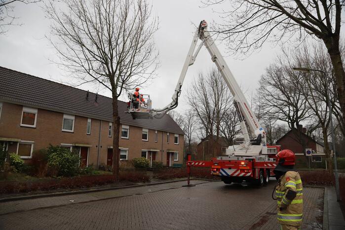 Boom dreigt op woning te vallen