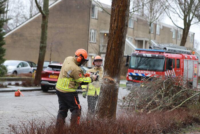 Boom dreigt op woning te vallen