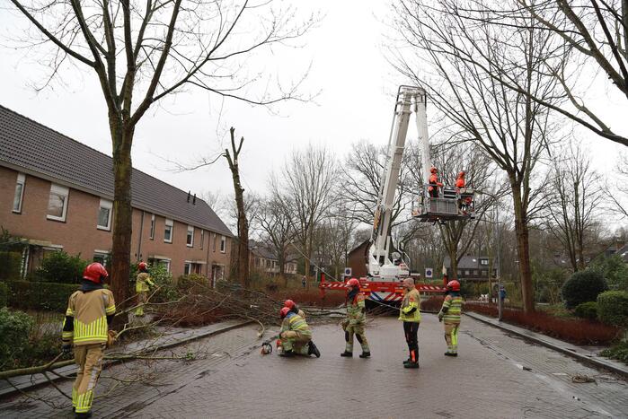 Boom dreigt op woning te vallen
