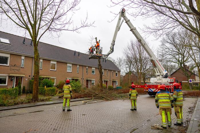 Boom dreigt op woning te vallen