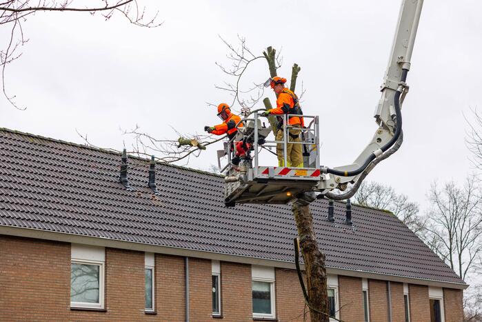 Boom dreigt op woning te vallen