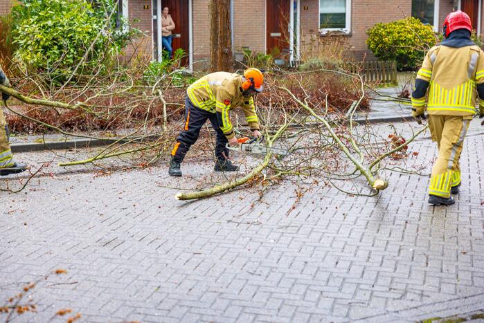 Boom dreigt op woning te vallen