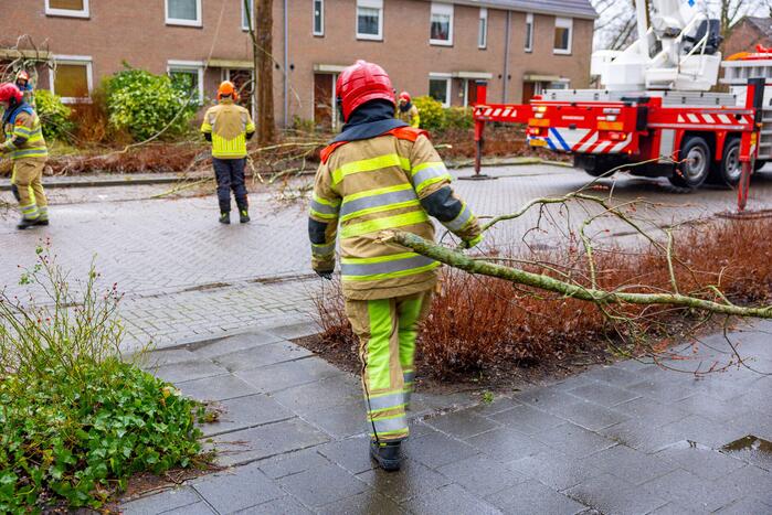 Boom dreigt op woning te vallen