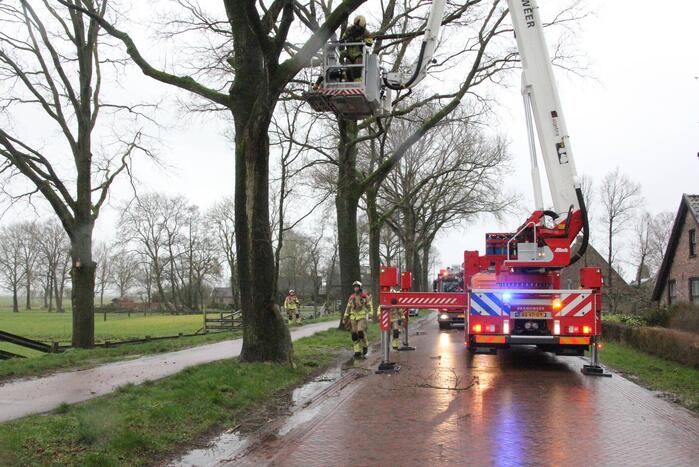 Brandweer zaagt gevaarlijk hangende tak uit boom
