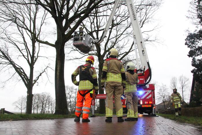 Brandweer zaagt gevaarlijk hangende tak uit boom