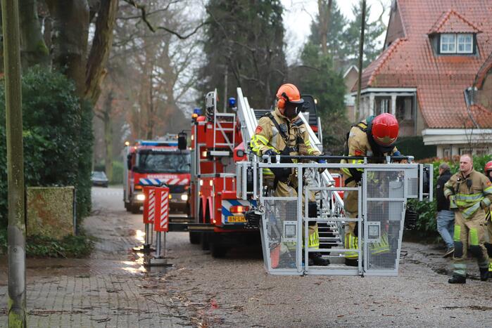 Boom dreigt op auto's te vallen