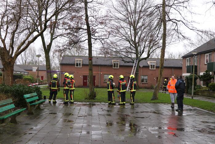 Woningen ontruimd nadat bomen dreigen om te waaien