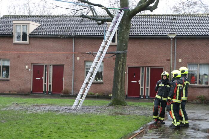 Woningen ontruimd nadat bomen dreigen om te waaien