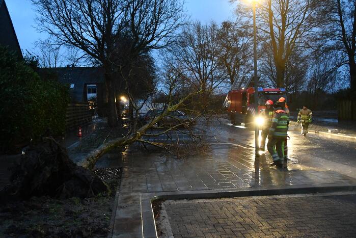 Boom valt tegen woning