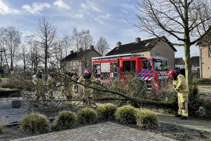 Gevelde boom door storm Franklin in stukken gezaagd