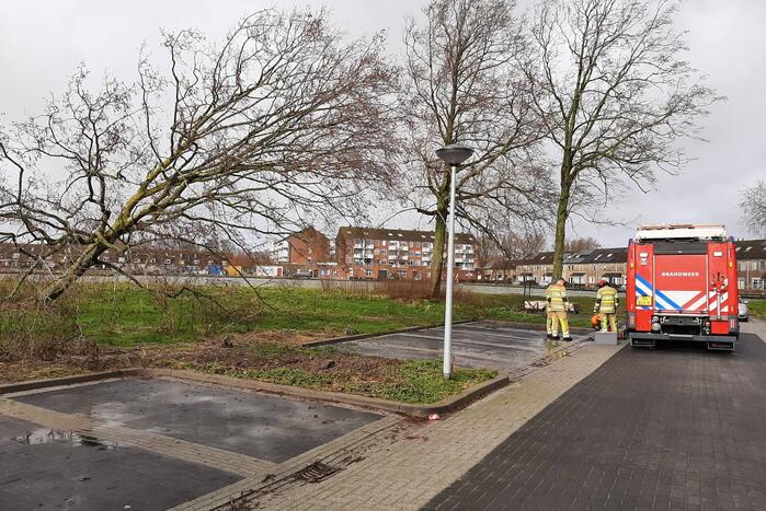 Brandweer haalt gevaarlijk hangende boom neer