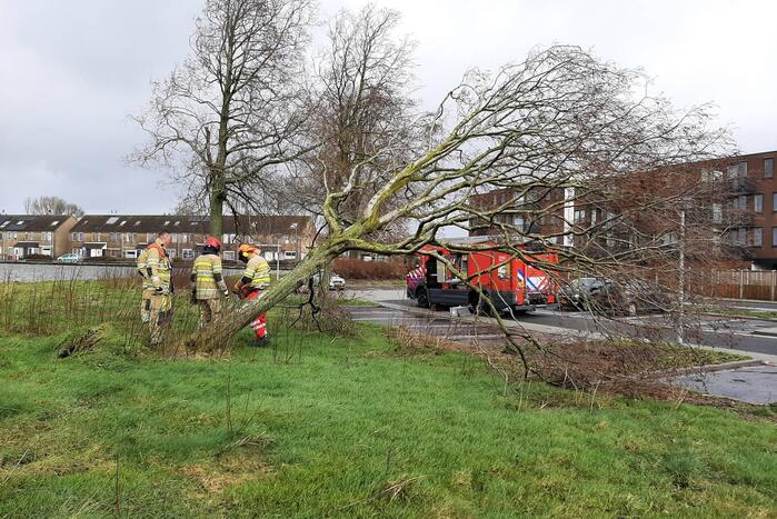 Brandweer haalt gevaarlijk hangende boom neer