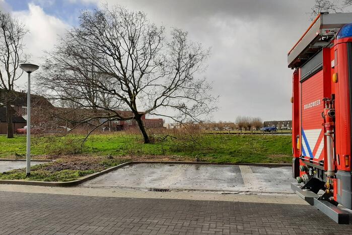 Brandweer haalt gevaarlijk hangende boom neer