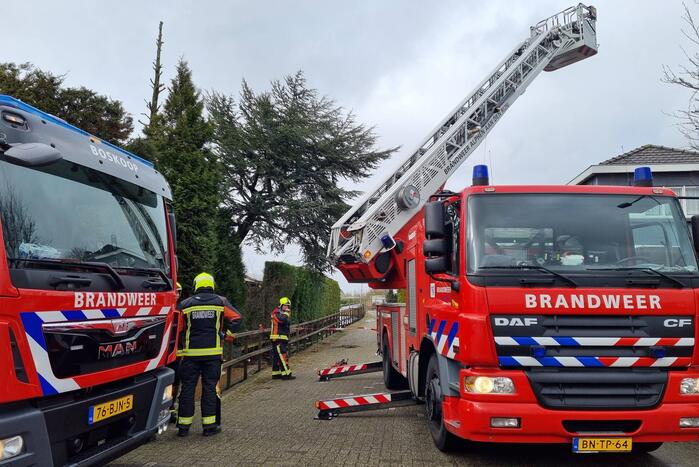 Gevaarlijk hangende boom neergehaald door brandweer