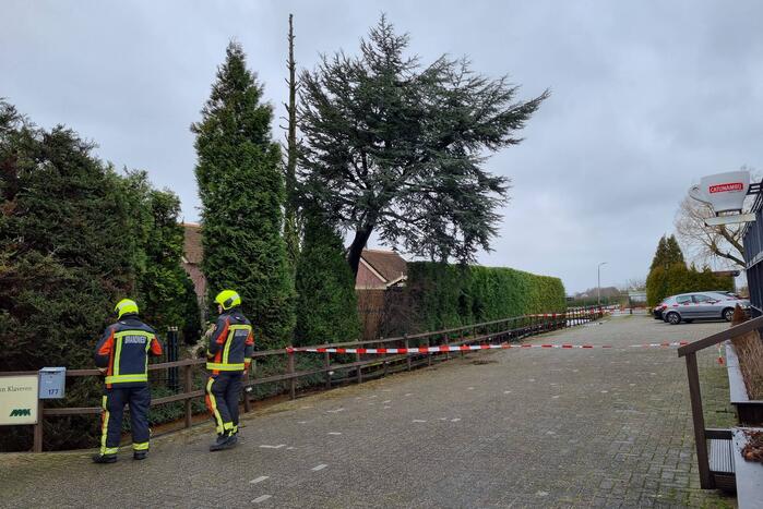 Gevaarlijk hangende boom neergehaald door brandweer