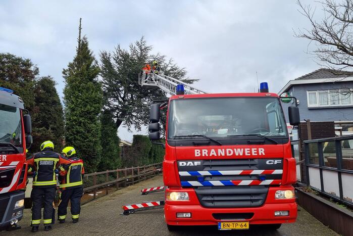 Gevaarlijk hangende boom neergehaald door brandweer