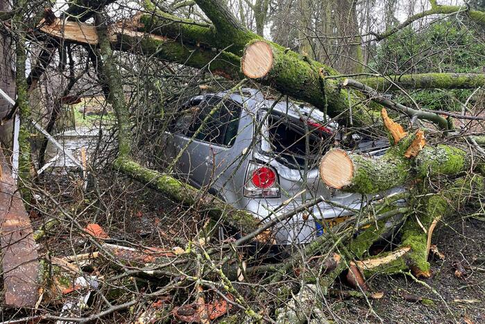 Auto bedolven onder omgewaaide boom