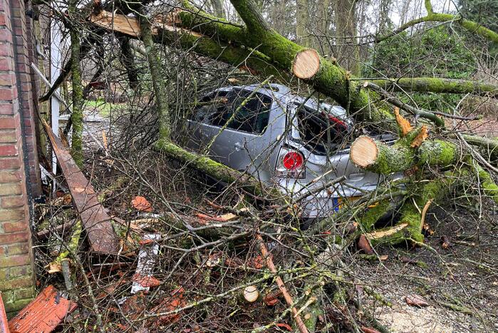 Auto bedolven onder omgewaaide boom