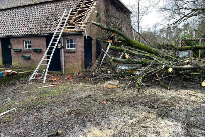 Auto bedolven onder omgewaaide boom