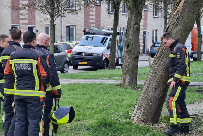 Brandweer ingezet voor scheefstaande boom