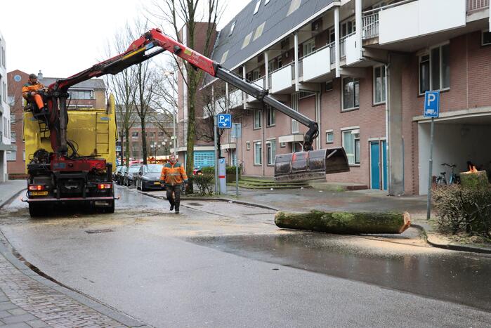 Spoedkap bij boom, busverkeer tijdelijk gestremd