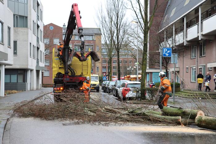 Spoedkap bij boom, busverkeer tijdelijk gestremd