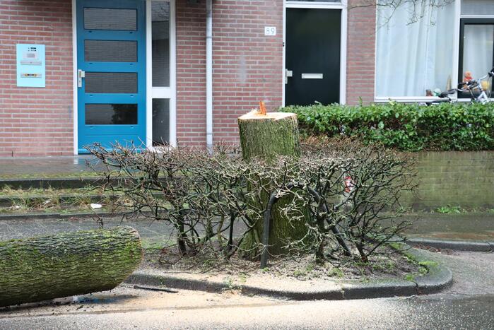 Spoedkap bij boom, busverkeer tijdelijk gestremd