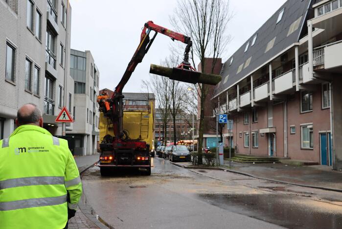 Spoedkap bij boom, busverkeer tijdelijk gestremd